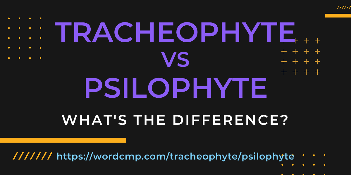 Difference between tracheophyte and psilophyte