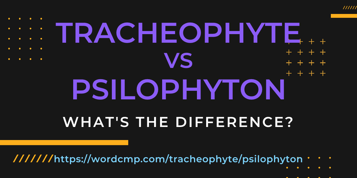 Difference between tracheophyte and psilophyton