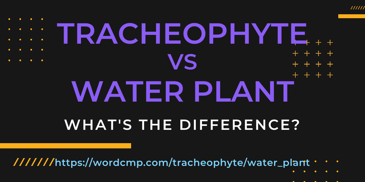 Difference between tracheophyte and water plant