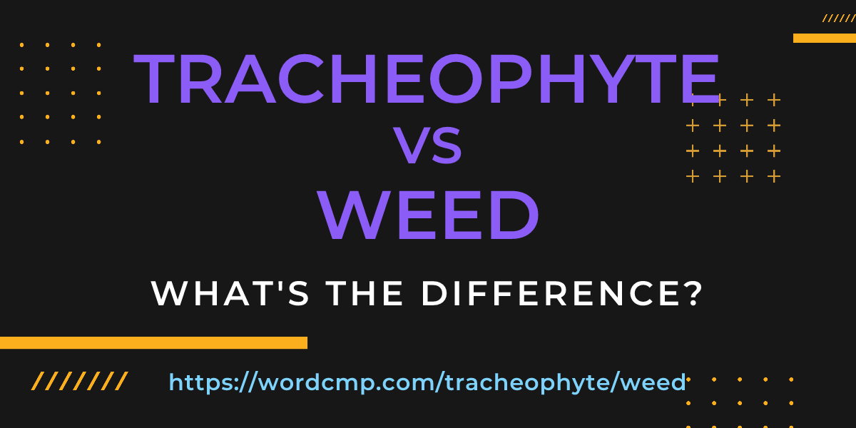 Difference between tracheophyte and weed