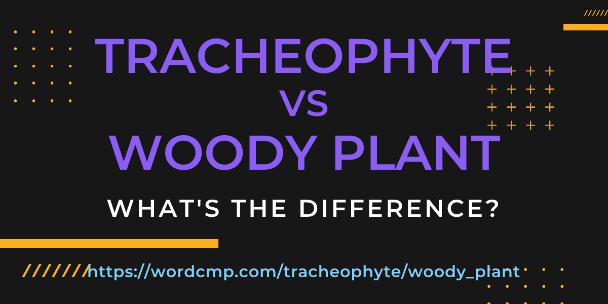Difference between tracheophyte and woody plant