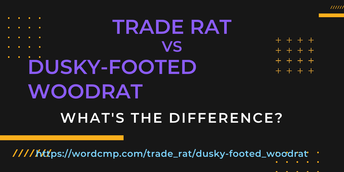 Difference between trade rat and dusky-footed woodrat