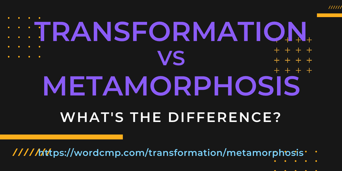 Difference between transformation and metamorphosis