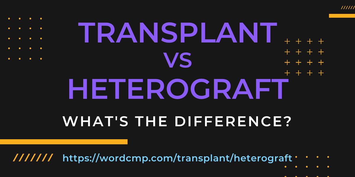 Difference between transplant and heterograft
