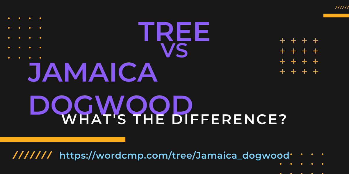 Difference between tree and Jamaica dogwood