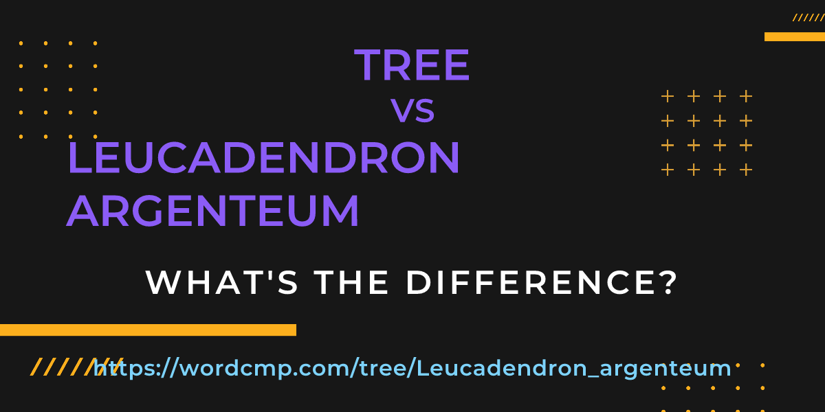 Difference between tree and Leucadendron argenteum