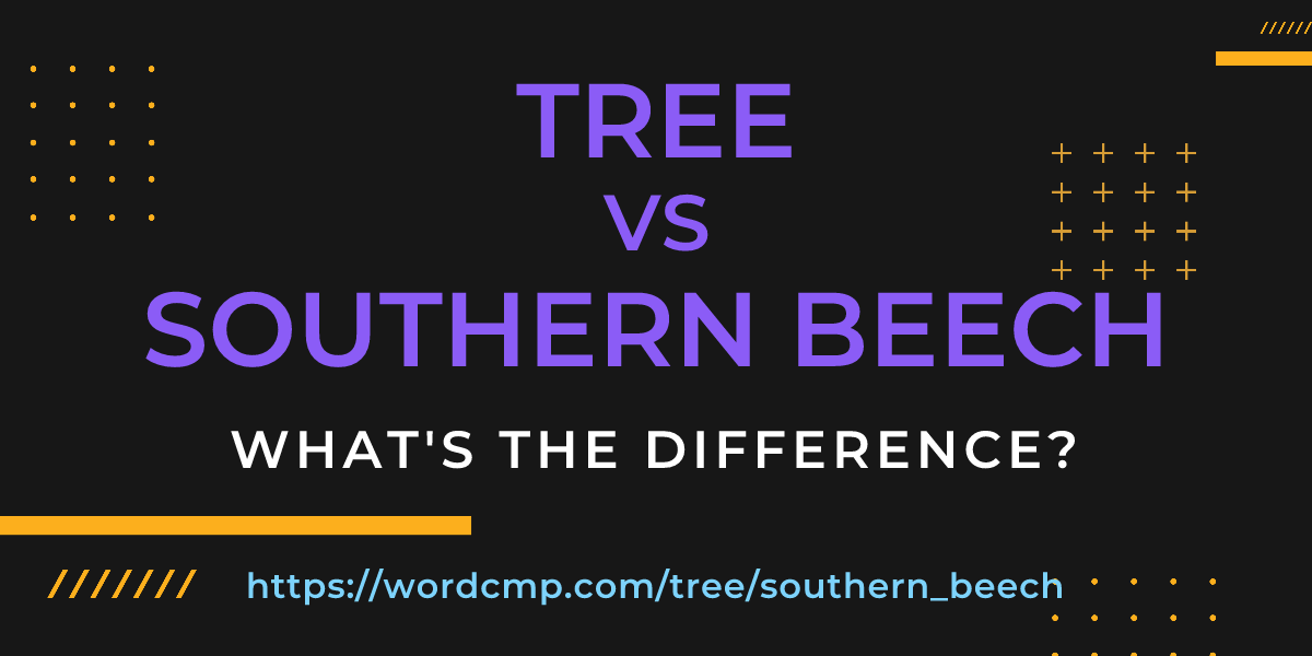 Difference between tree and southern beech