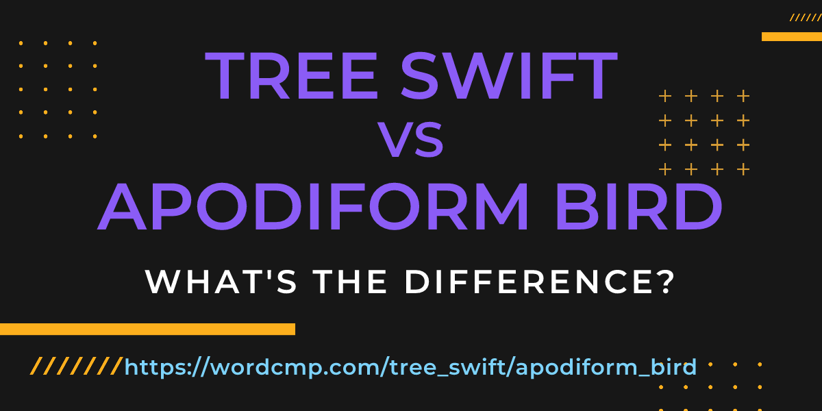 Difference between tree swift and apodiform bird