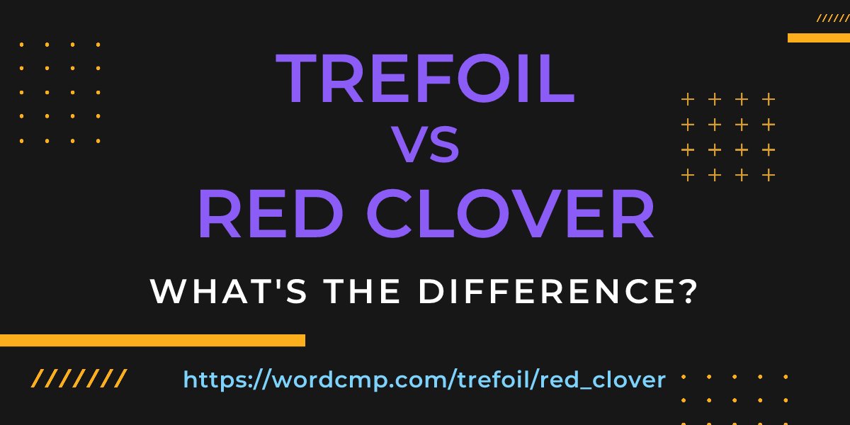 Difference between trefoil and red clover