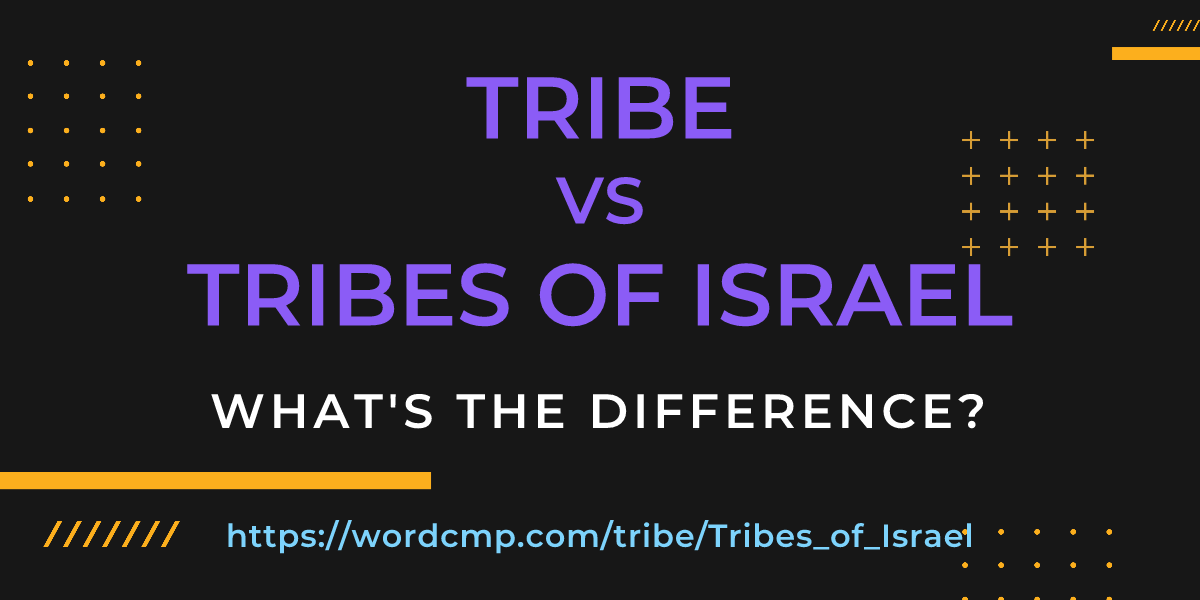 Difference between tribe and Tribes of Israel