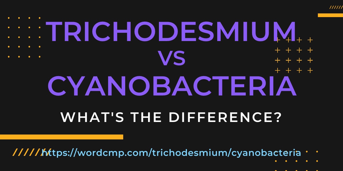 Difference between trichodesmium and cyanobacteria