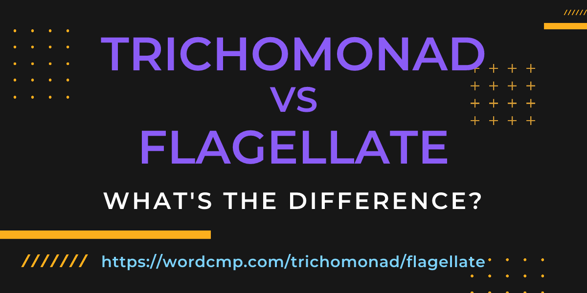 Difference between trichomonad and flagellate