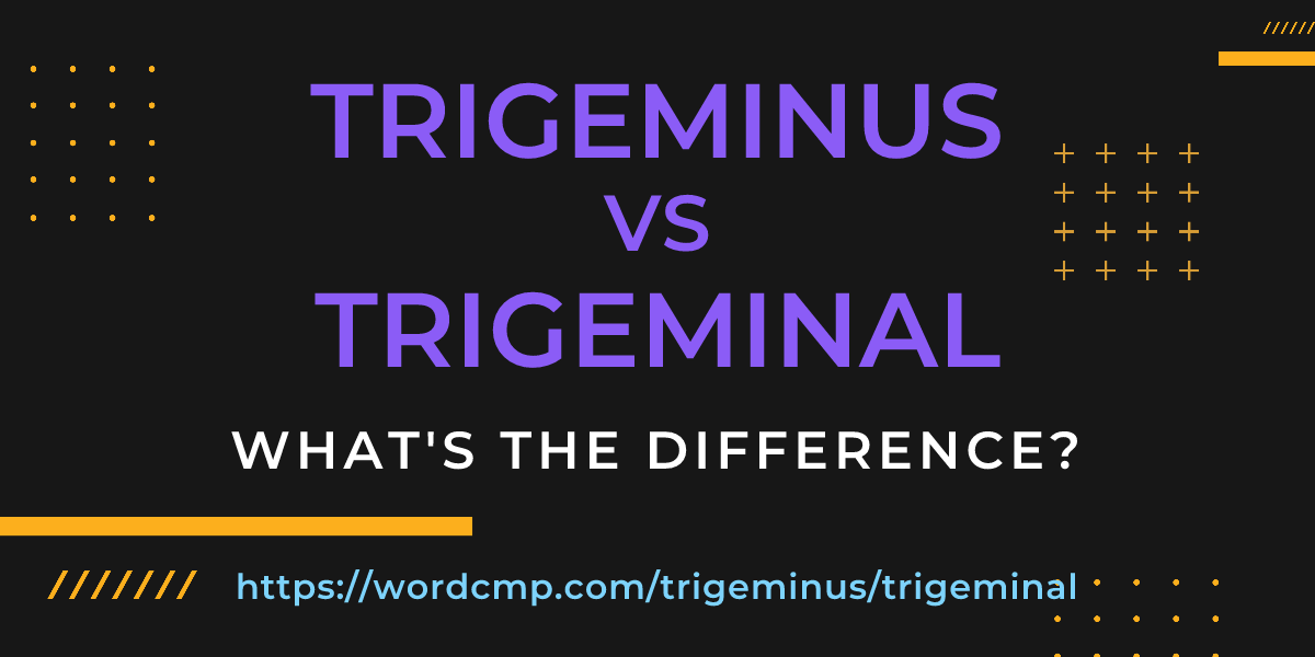 Difference between trigeminus and trigeminal
