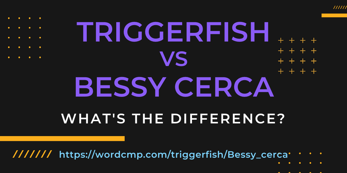 Difference between triggerfish and Bessy cerca