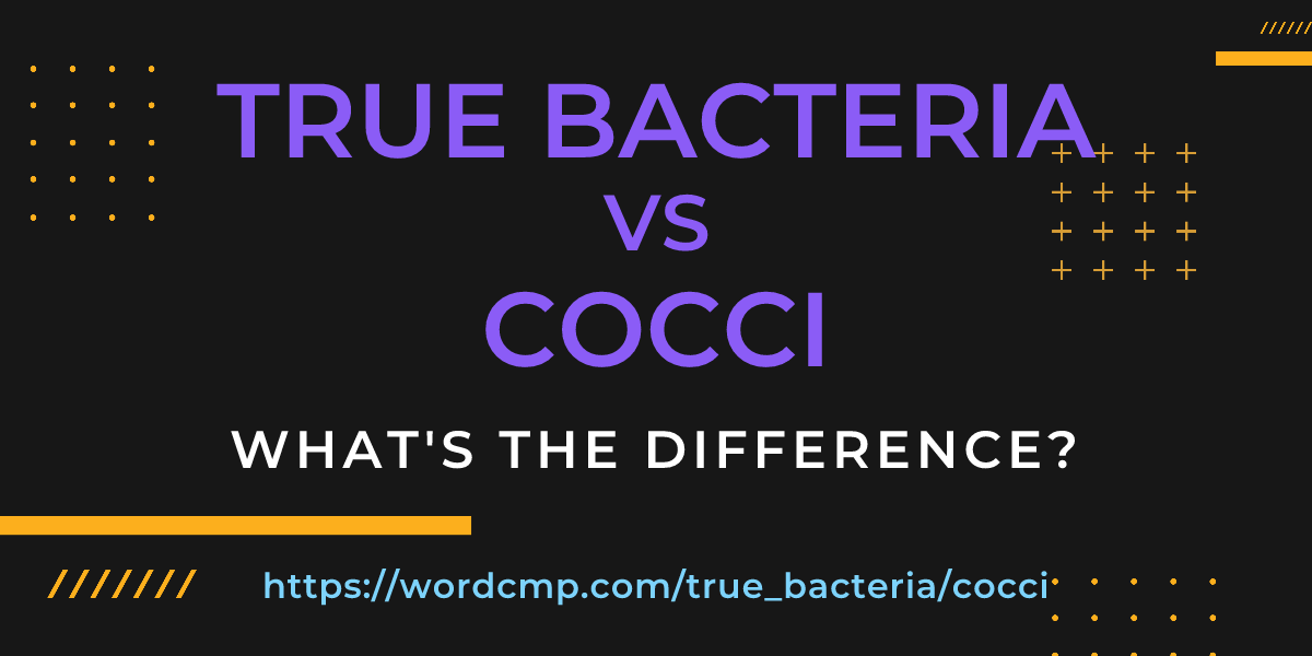 Difference between true bacteria and cocci