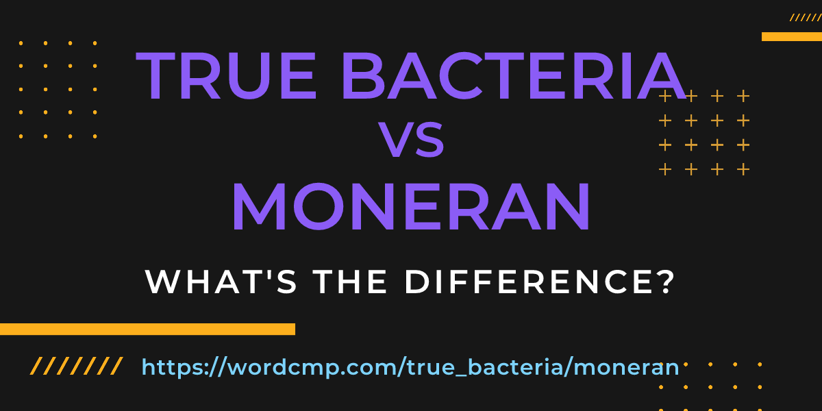 Difference between true bacteria and moneran