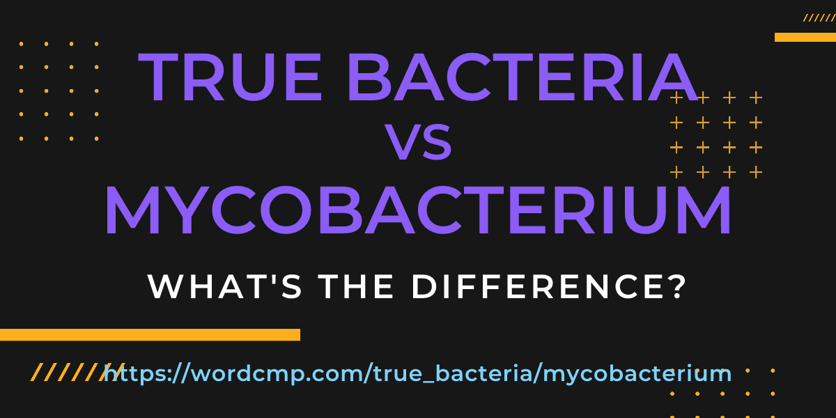 Difference between true bacteria and mycobacterium