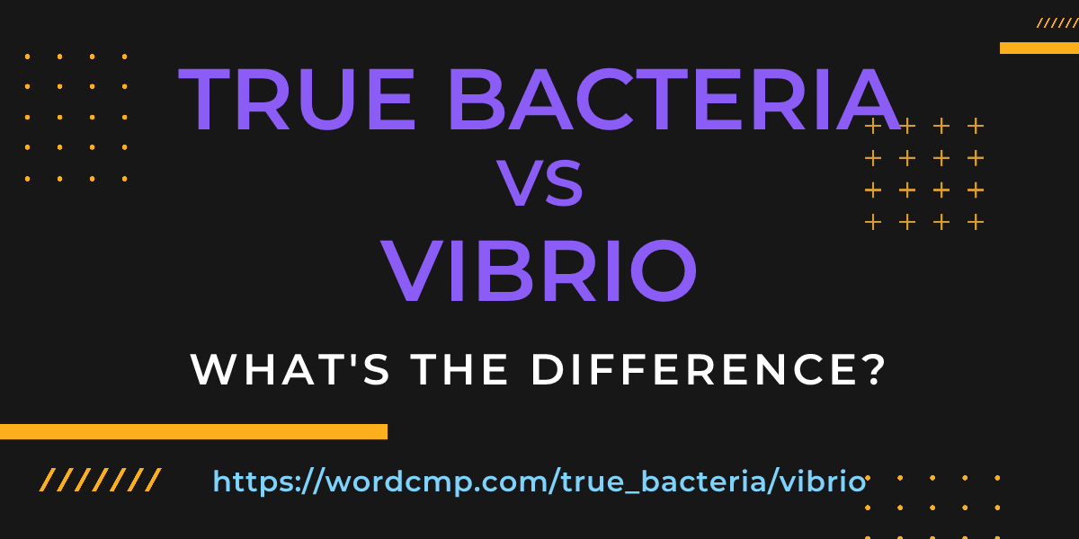 Difference between true bacteria and vibrio
