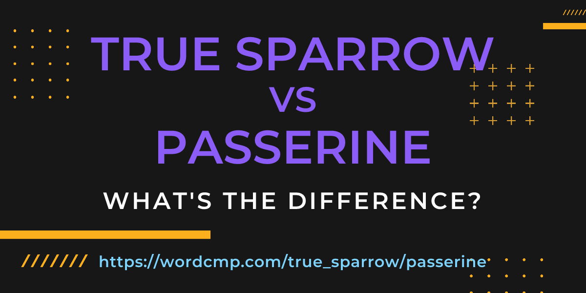 Difference between true sparrow and passerine