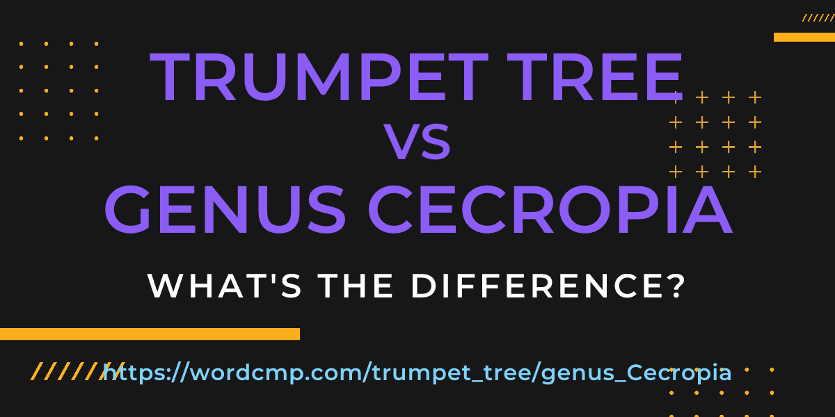 Difference between trumpet tree and genus Cecropia