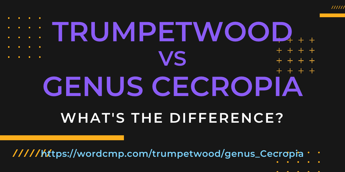 Difference between trumpetwood and genus Cecropia