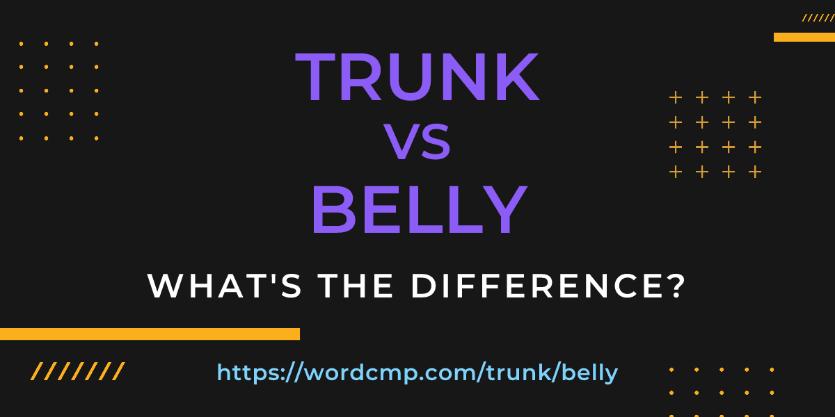 Difference between trunk and belly