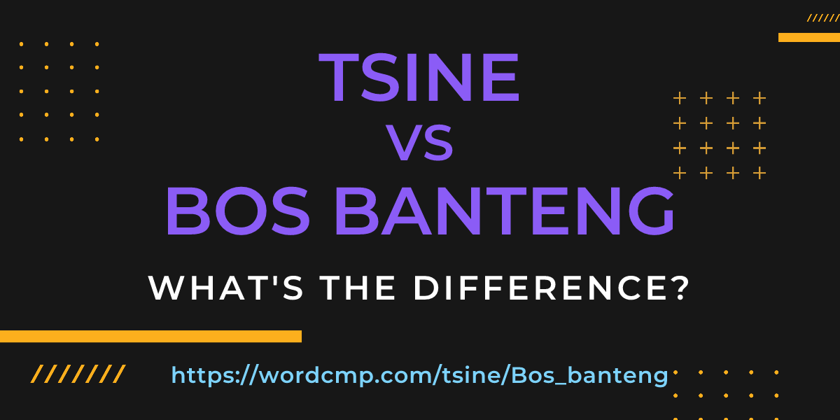 Difference between tsine and Bos banteng