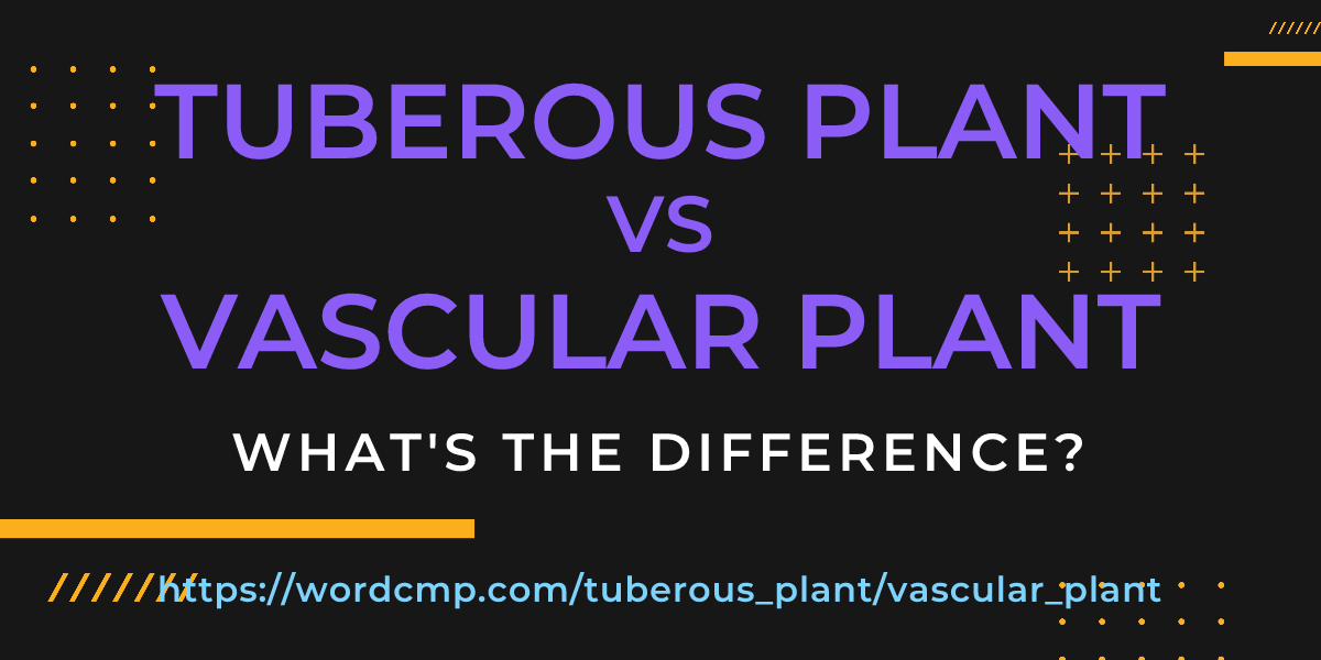 Difference between tuberous plant and vascular plant