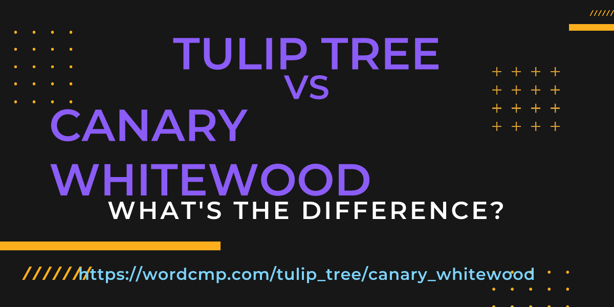 Difference between tulip tree and canary whitewood