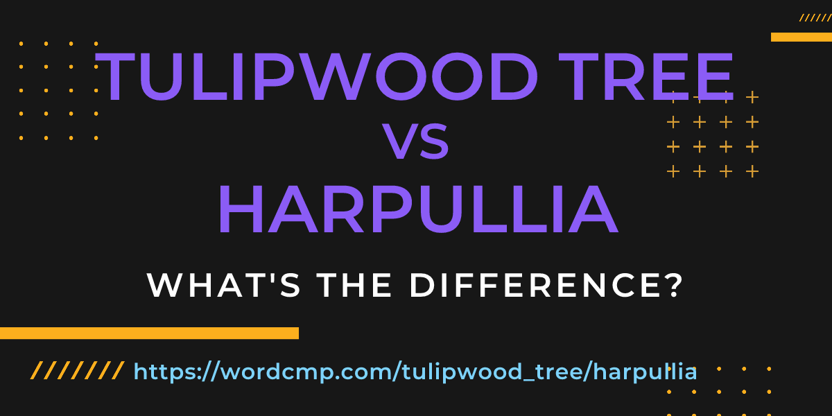 Difference between tulipwood tree and harpullia