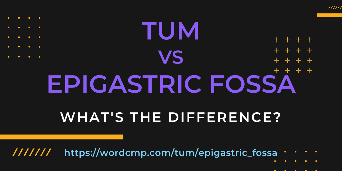 Difference between tum and epigastric fossa