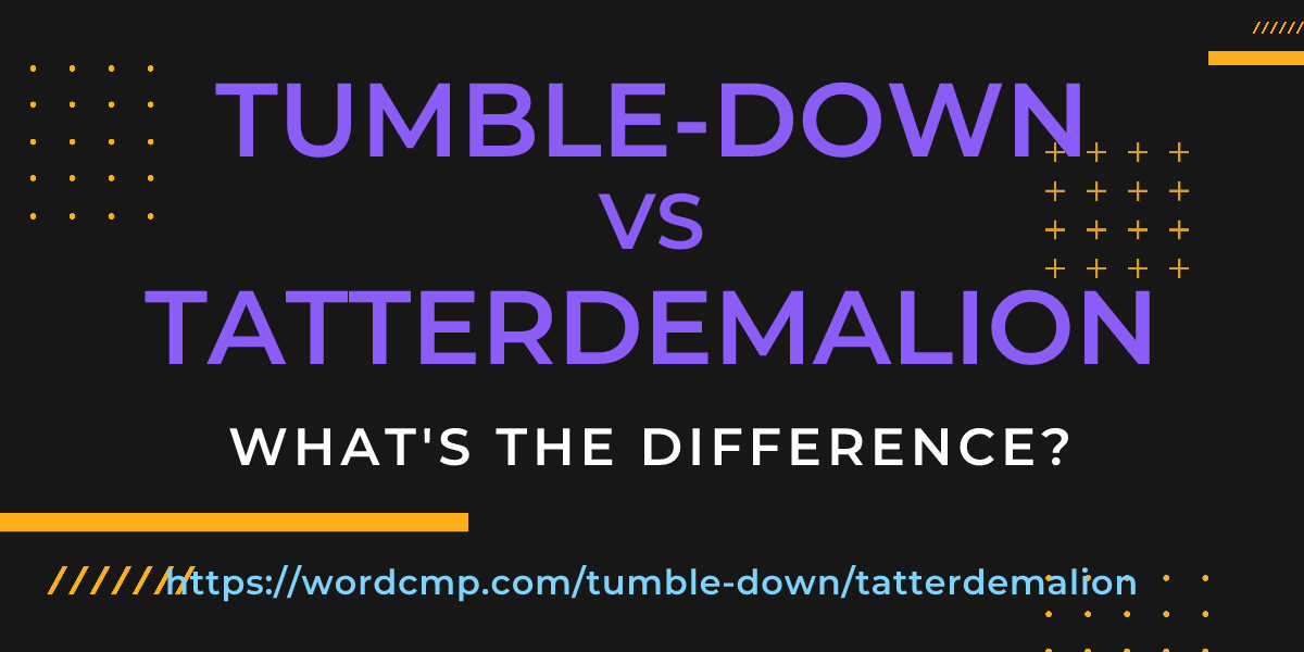 Difference between tumble-down and tatterdemalion
