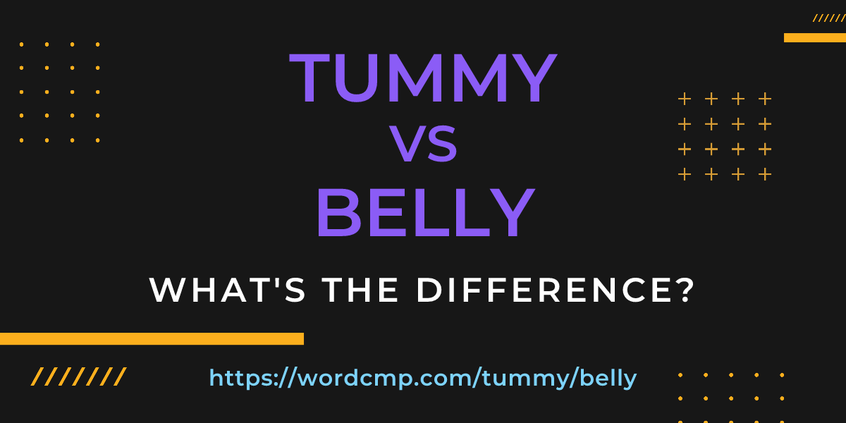 Difference between tummy and belly