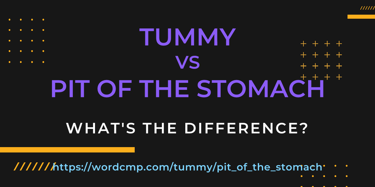 Difference between tummy and pit of the stomach