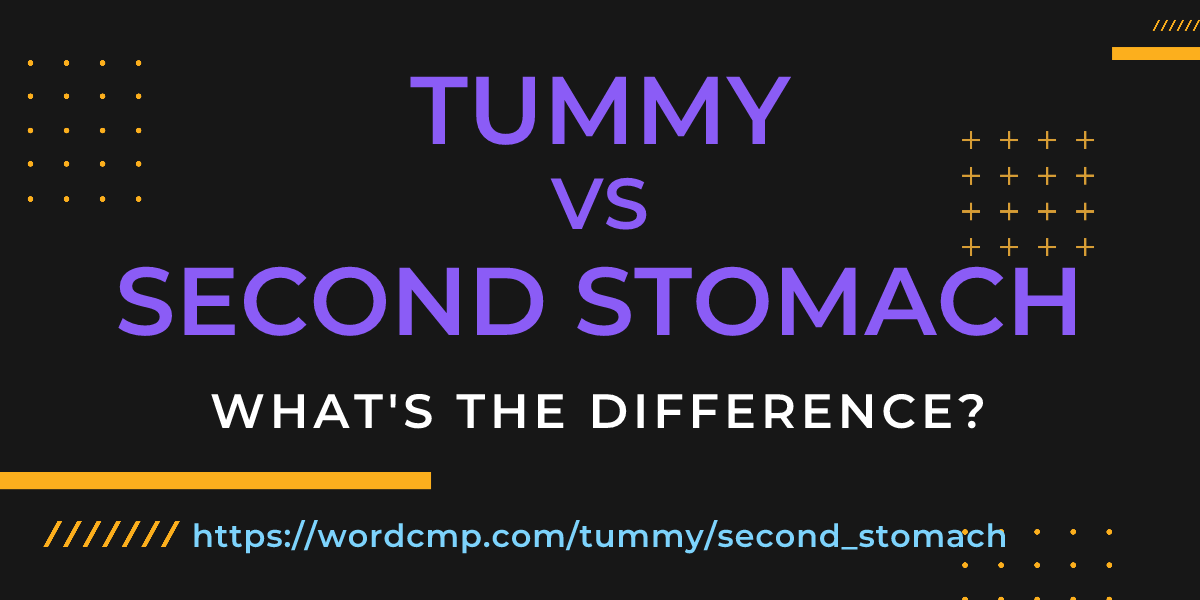 Difference between tummy and second stomach