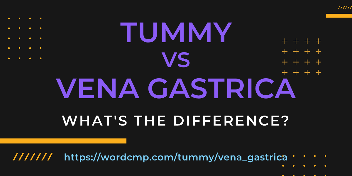 Difference between tummy and vena gastrica