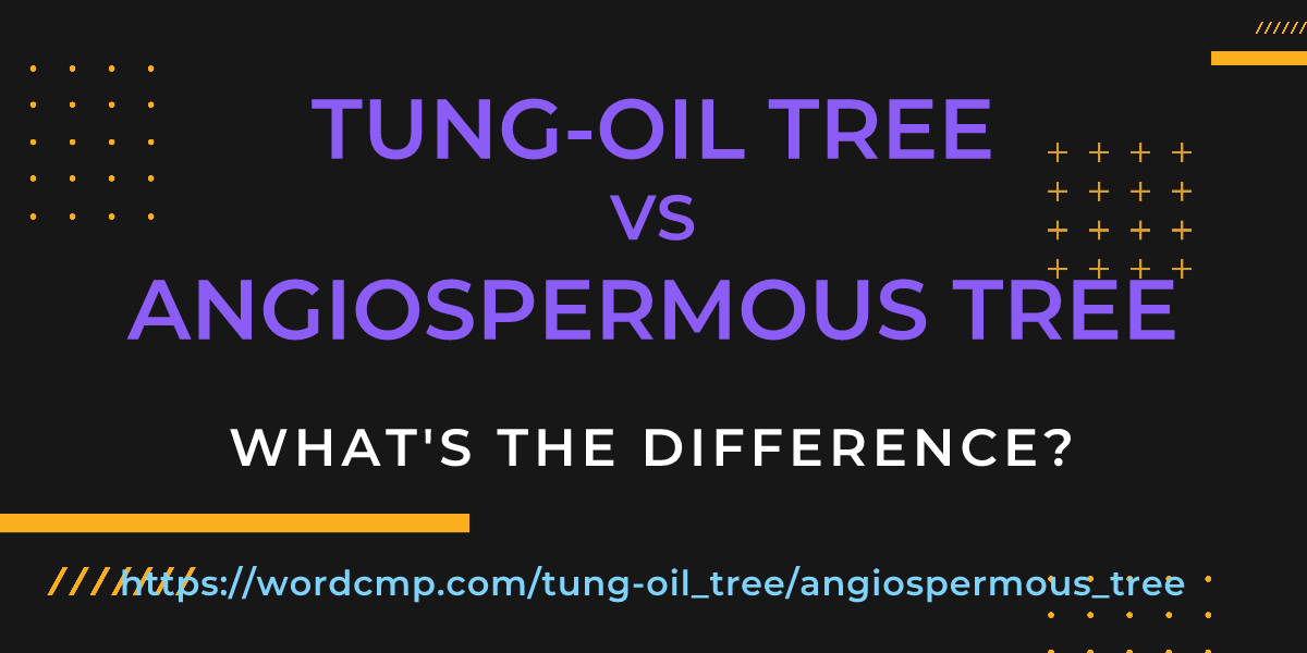 Difference between tung-oil tree and angiospermous tree