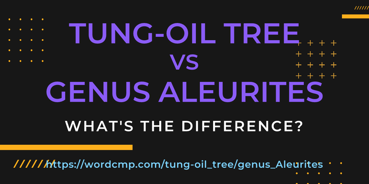 Difference between tung-oil tree and genus Aleurites