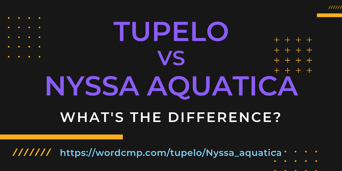 Difference between tupelo and Nyssa aquatica