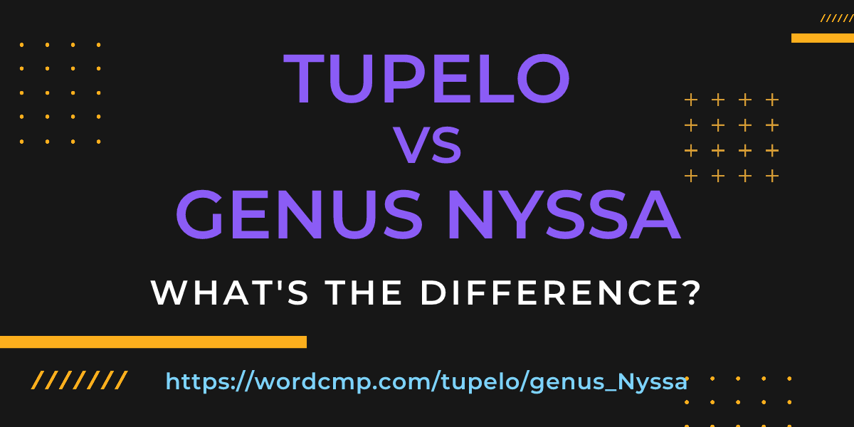 Difference between tupelo and genus Nyssa