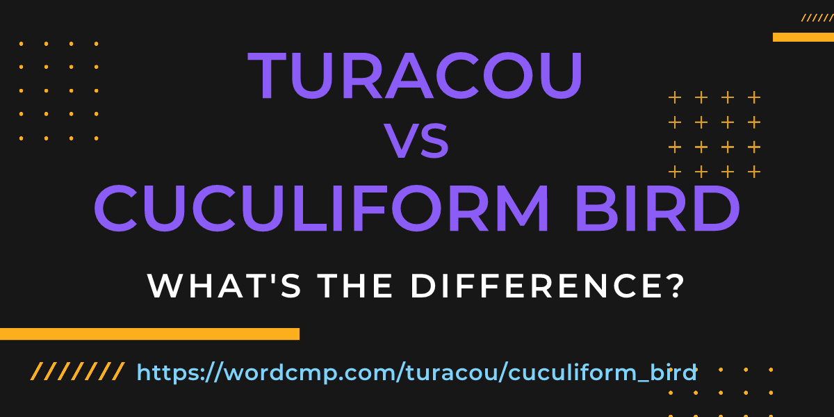 Difference between turacou and cuculiform bird