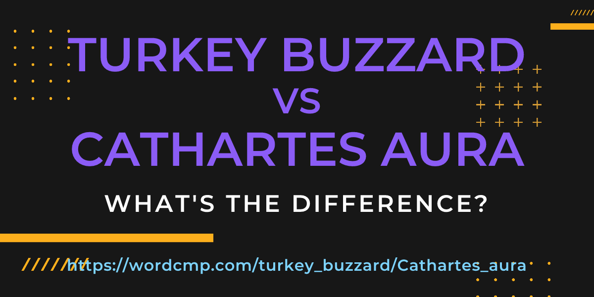 Difference between turkey buzzard and Cathartes aura
