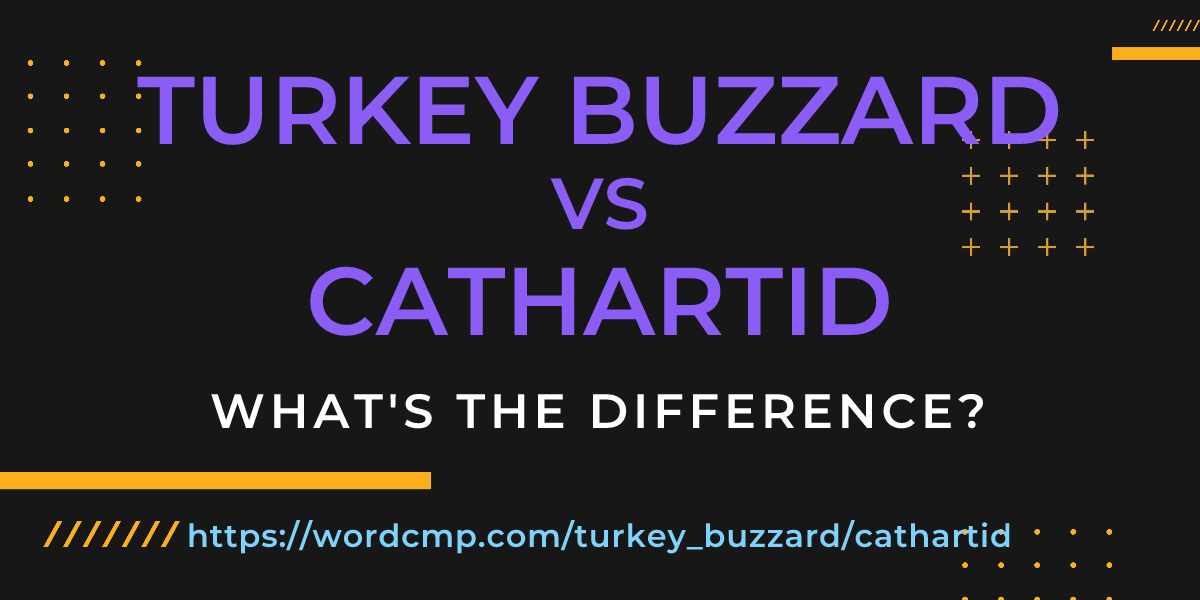 Difference between turkey buzzard and cathartid