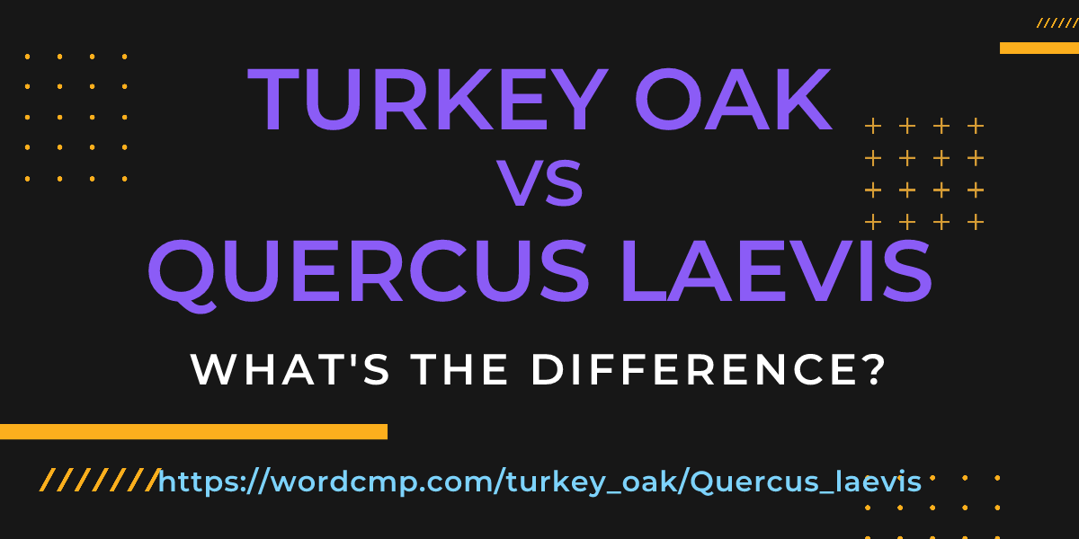Difference between turkey oak and Quercus laevis