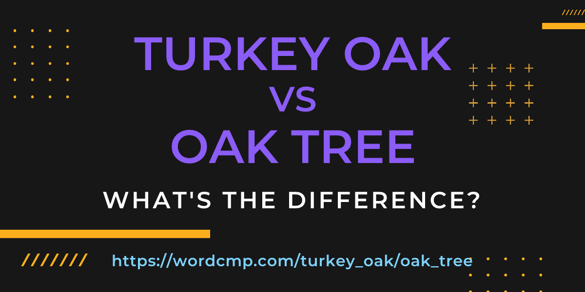 Difference between turkey oak and oak tree