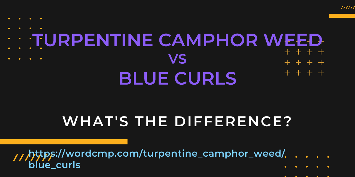 Difference between turpentine camphor weed and blue curls