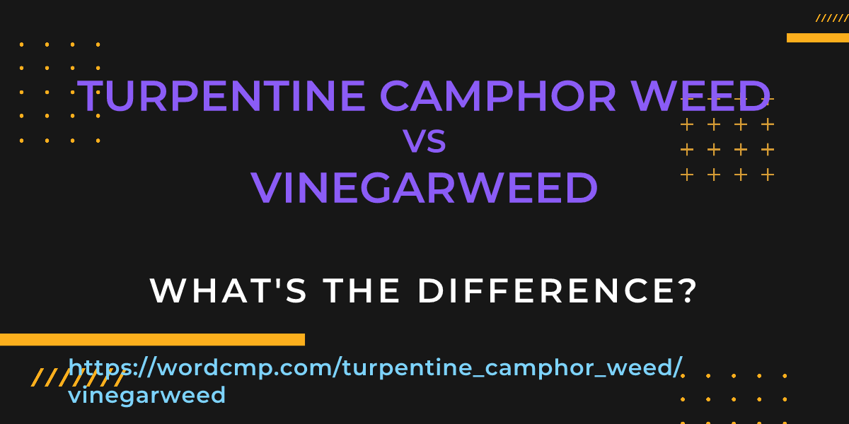Difference between turpentine camphor weed and vinegarweed
