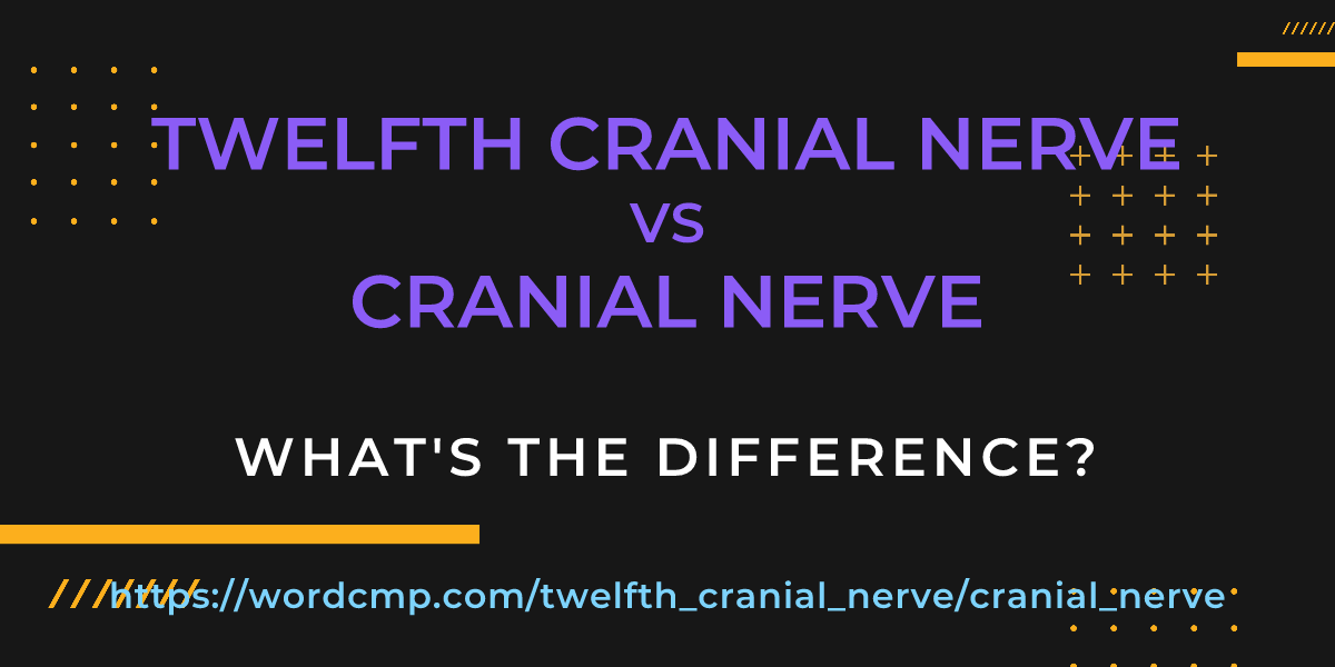 Difference between twelfth cranial nerve and cranial nerve