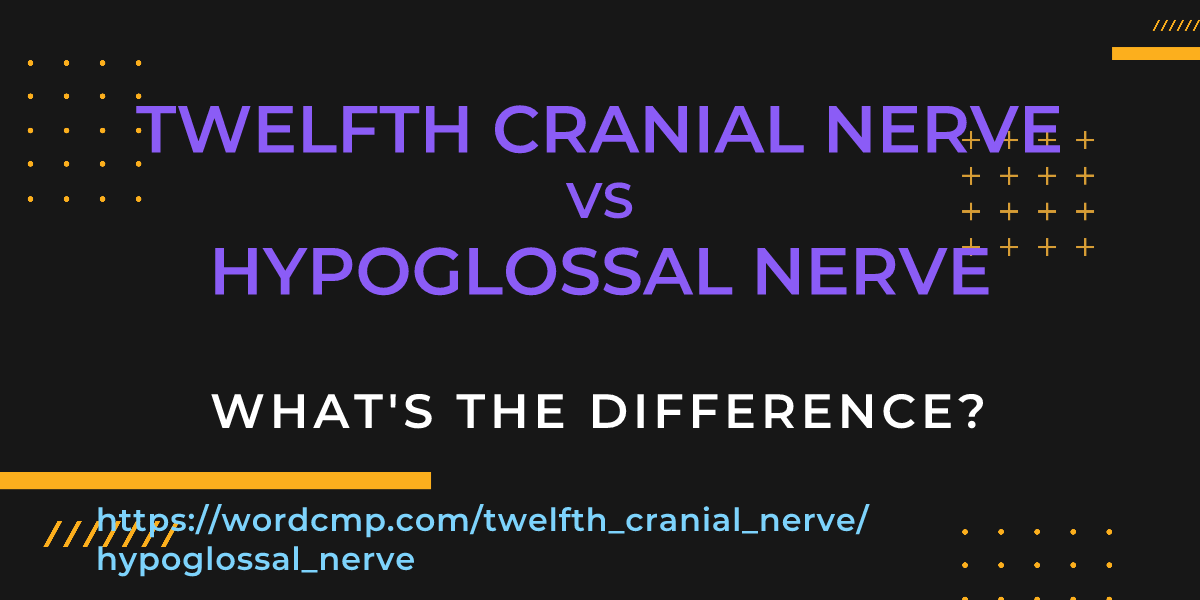 Difference between twelfth cranial nerve and hypoglossal nerve