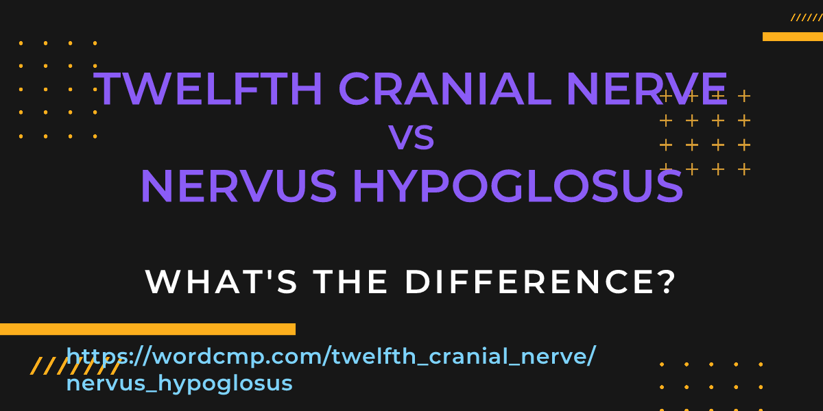 Difference between twelfth cranial nerve and nervus hypoglosus